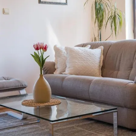 In With Terrace, Air Condition, Wifi, Dishwasher Mali Lošinj